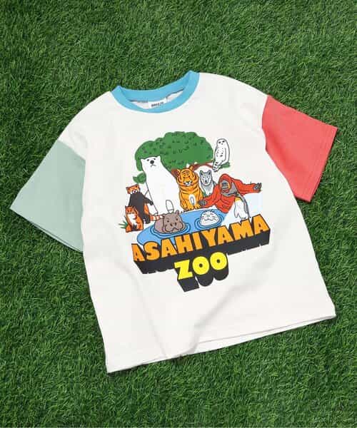 【リンク】【旭山動物園応援商品】バリエーションTシャツ