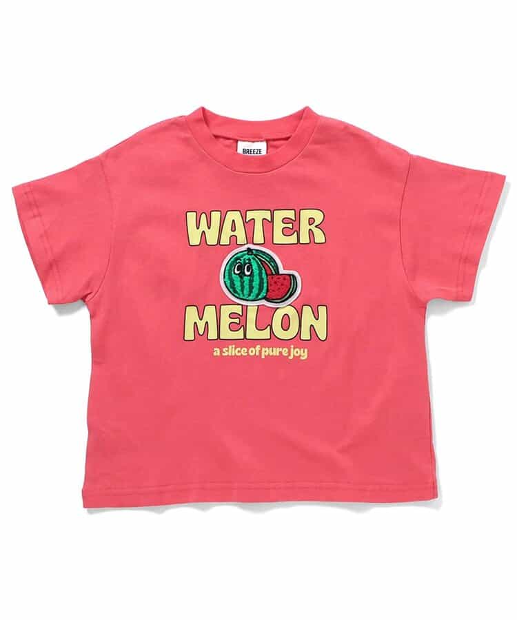 6色6柄いろいろサガラワッペンTシャツ