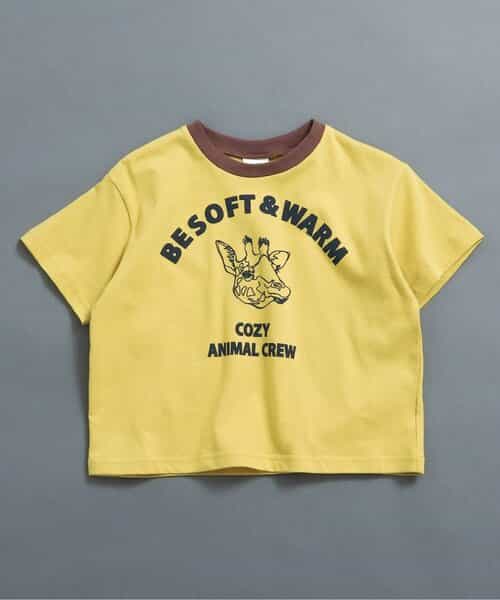 WEB限定  リンガー配色アニマルカレッジTシャツ
