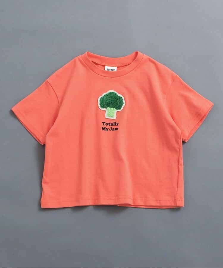 WEB限定  ワンポイントサガラワッペンTシャツ