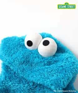 【リンク】SESAME STREET もこもこなりきりボディ_981284