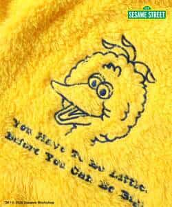 【リンク】SESAME STREET もこもこなりきりボディ_981297