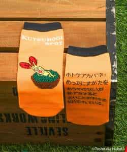 こびとづかん バラエティソックス_982073