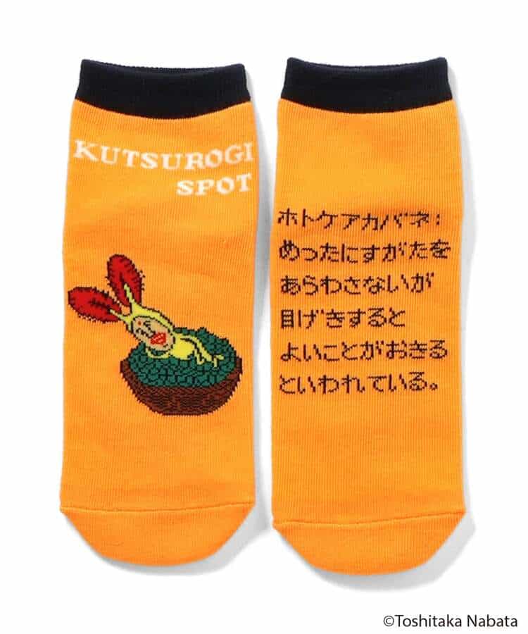こびとづかん バラエティソックス_982077
