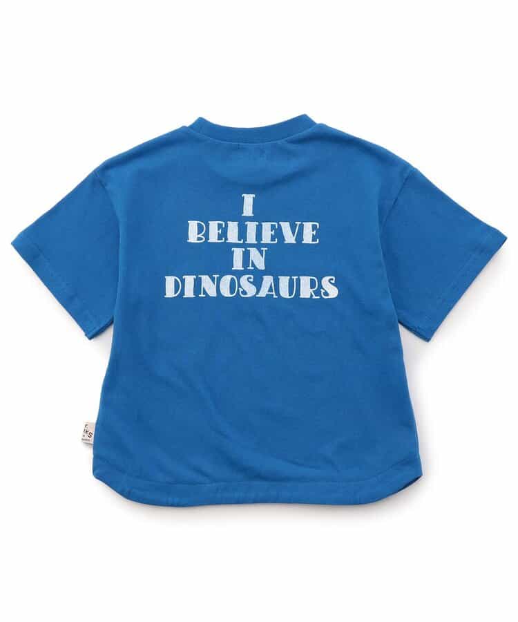 DINO BOX ART Tシャツ_841486