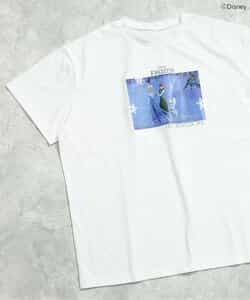 ★タイムセール★【リンク】【ディズニーキャラクター】プリンセス/アナと雪の女王 半袖Tシャツ(大人)_904847