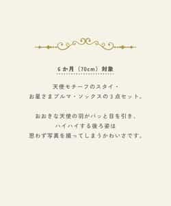 【Baby Gift Box】天使の羽セット_出産祝い_ギフトセット_ハーフバースデー_ベビーギフト_548326